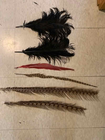 Photo of free feathers (Emeryville) #1