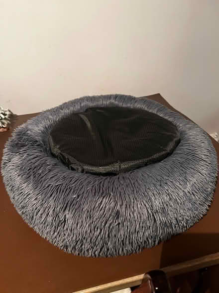 Photo of free Brand new cat bed (basingstoke) #1