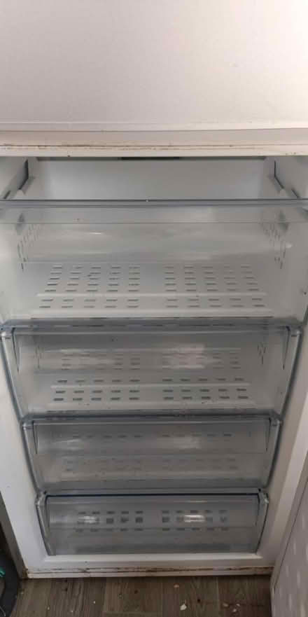 Photo of free Fridge freezer (Clifton wood) #3