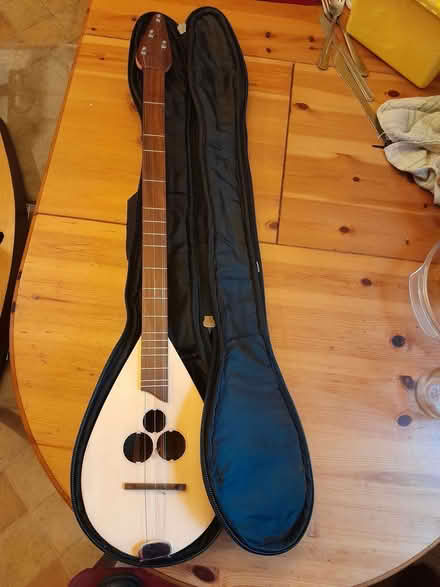 Photo of free Dulcimer ? with soft case. (City Centre NR1) #2