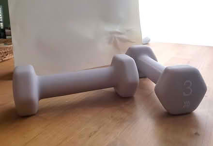 Photo of free pair of 3-pound free weights (West Seattle) #1