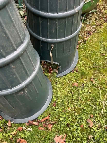 Photo of free 2X Compost bins (Tallaght) #2