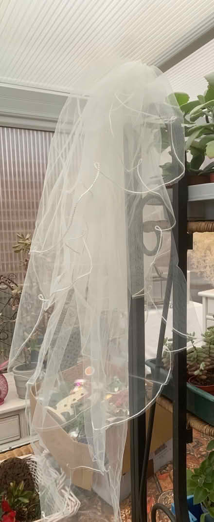 Photo of free Wedding Veil (Acomb Park YO24) #1