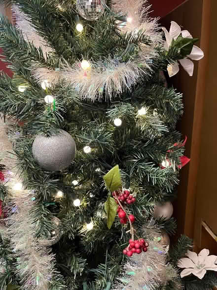 Photo of free Christmas Tree (St Charles) #2