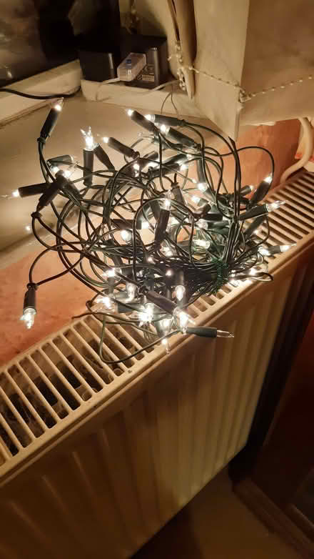 Photo of free Traditional fairy lights, clear (Sutton in Ashfield NG17) #2