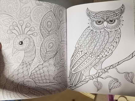 Photo of free Adult Animal Coloring Book (Near Bolingbrook High School) #2