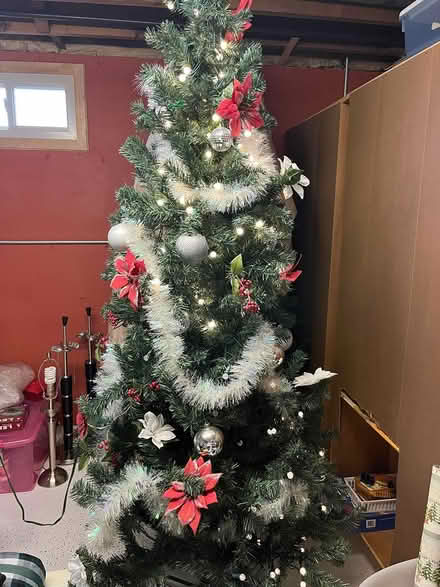 Photo of free Christmas Tree (St Charles) #1