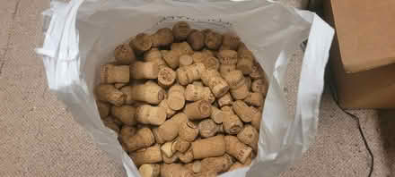 Photo of free Champagne corks. (Lewes BN7) #1