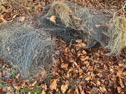 Photo of free Chicken wire (Colby CA16) #1