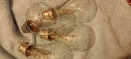 Photo of free 4 x 40w Electric LIGHT BULBS (Great Baddow CM2) #2