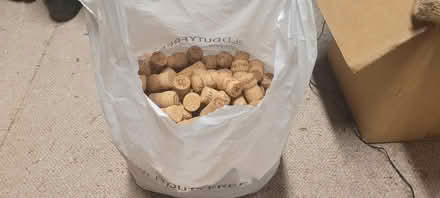 Photo of free Champagne corks. (Lewes BN7) #2