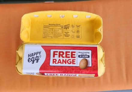 Photo of free Egg cartons, qty 10 (Palm Park, Redwood City) #2