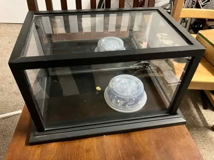 Photo of free Small sized terrarium (Oakland) #1