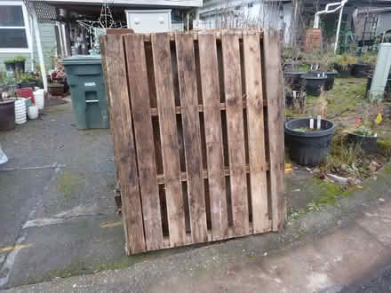 Photo of free 3 free pallets (Southeast Bothell) #1