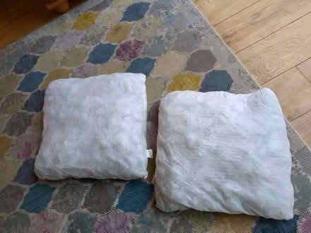 Photo of free Two cushion stuffing pads (Earley RG6) #1