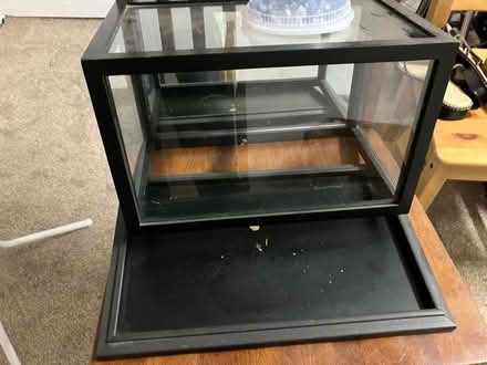 Photo of free Small sized terrarium (Oakland) #2