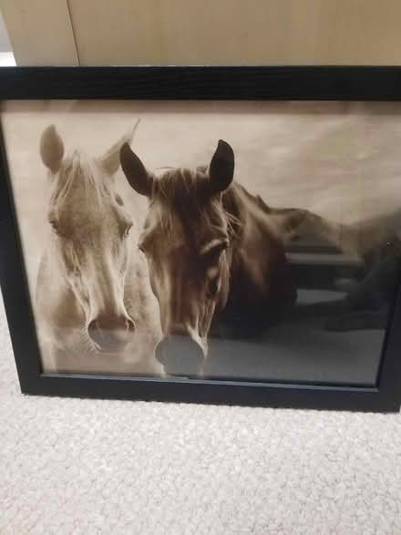 Photo of free Framed Horses (Near Bolingbrook High School) #1