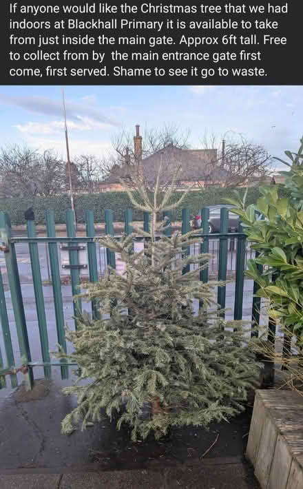 Photo of free Christmas tree (EH4 3PH) #1