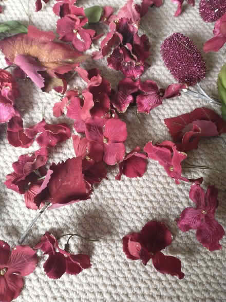 Photo of free Flowers for crafting (Loughton IG10) #2