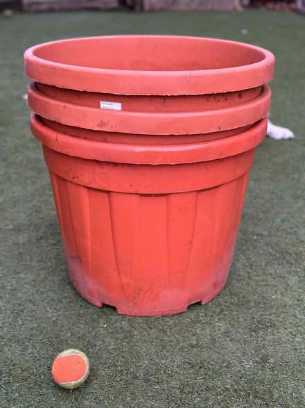 Photo of free 2 Large plastic plant pots (Henley on thames (RG9)) #1