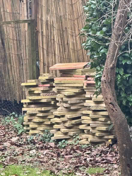 Photo of free Lots of wood (Bitterne SO18) #1