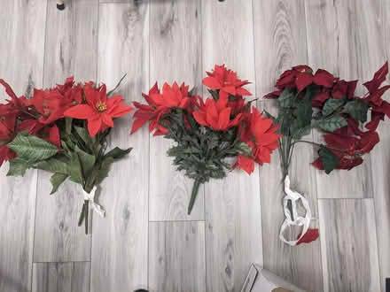 Photo of free Artificial poinsettias (East Somerville) #2