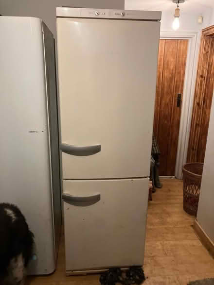 Photo of free Miele Fridge Freezer (North Willingham. LN8) #2