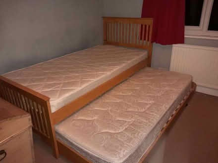 Photo of free Single bed with guest bed underneath (Maidstone ME15) #2