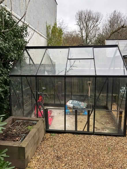 Photo of free Greenhouse (Muswell Hill N10) #3