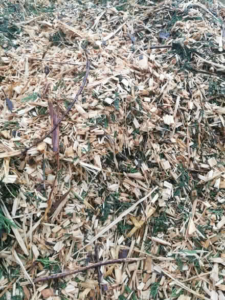 Photo of free Woodchip / Mulch / Compost (Hall Green B28) #1