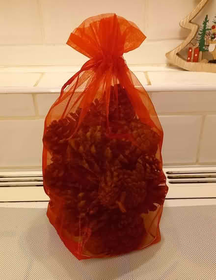 Photo of free Bag of pine cones , Xmas crafting (Central Letchworth) #1