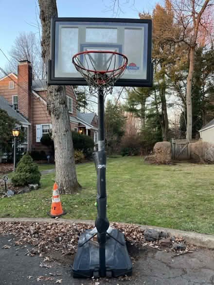 Photo of free Adjustable basketball hoop (Metuchen NJ) #1