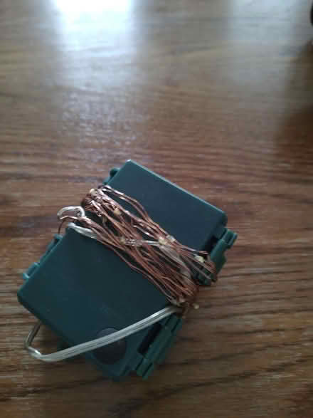 Photo of free Fairy lights (Odenton) #1