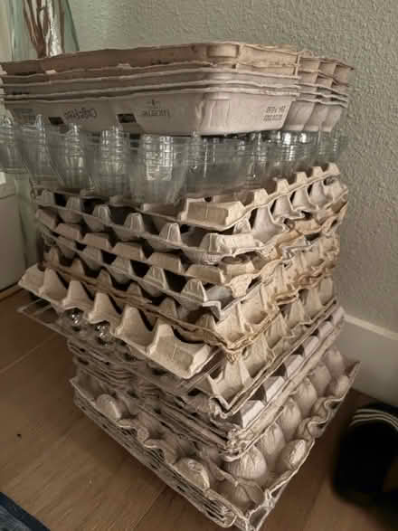 Photo of free Egg cartons (94087) #1