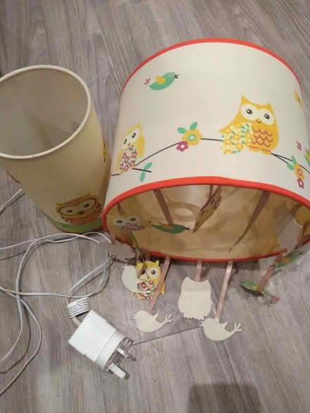 Photo of free Owl light shade and table lamp set (Old Heath CO2) #1