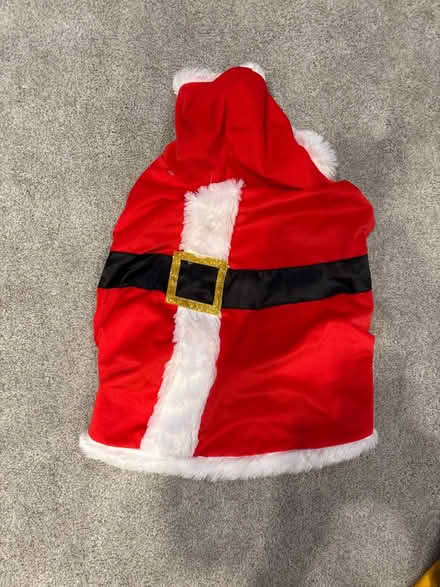 Photo of free Dog Santa outfit (West loop) #1