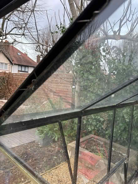 Photo of free Greenhouse (Muswell Hill N10) #4