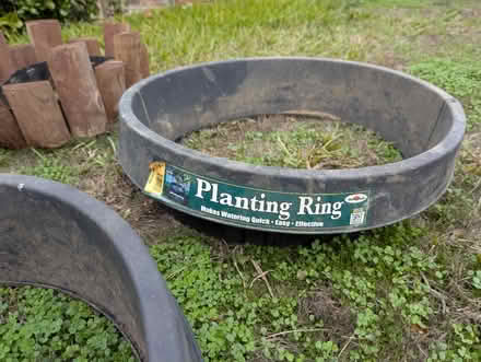 Photo of free Planter rings for trees and shrubs (Cupertino Public Library) #2