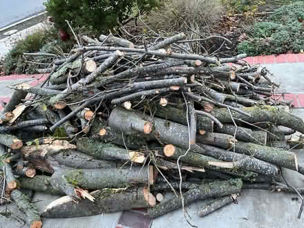 Photo of free Firewood (Redwood City) #1