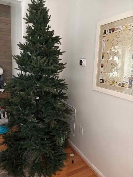 Photo of free pre-lit Christmas tree (Dearbought Frederick) #1