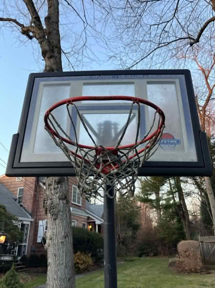 Photo of free Adjustable basketball hoop (Metuchen NJ) #2