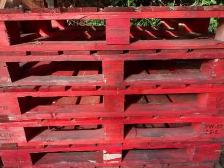 Photo of free Pallets x 7 (Guildford, GU2) #1