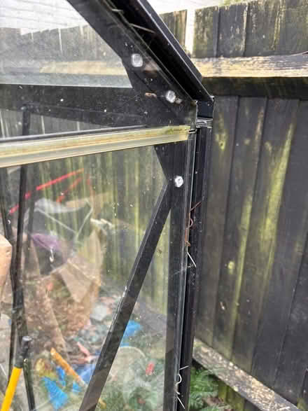 Photo of free Greenhouse (Muswell Hill N10) #2