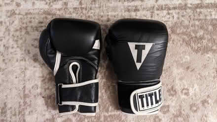 Photo of free Boxing Gloves (Size L) (22308) #1