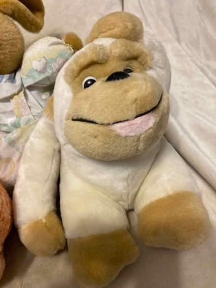 Photo of free Stuff animals (like new) (Philadelphia, 19120) #3