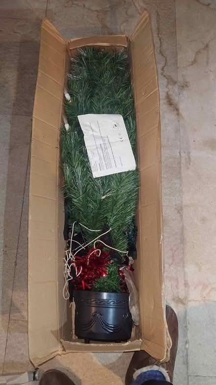 Photo of free Xmas tree (Torquay) #1