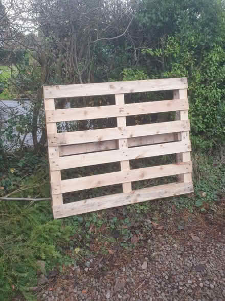 Photo of free Pallet (Barlaston ST12) #1