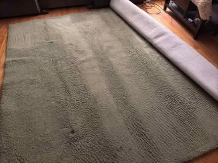 Photo of free Green 8x12 Rug (Stoneham) #1