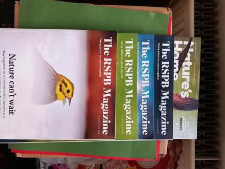 Photo of free rspb magazines back issues (Wrenbury nr Nantwich) #1