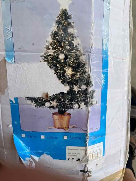 Photo of free Xmas tree (Jerrabomberra) #1